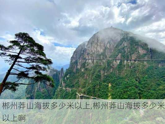 郴州莽山海拔多少米以上,郴州莽山海拔多少米以上啊