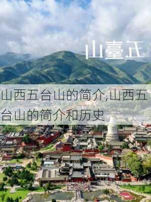 山西五台山的简介,山西五台山的简介和历史