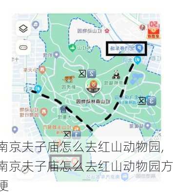 南京夫子庙怎么去红山动物园,南京夫子庙怎么去红山动物园方便