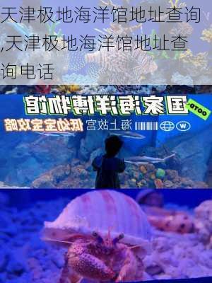 天津极地海洋馆地址查询,天津极地海洋馆地址查询电话