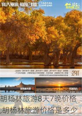 胡杨林旅游8天7晚价格,胡杨林旅游价格是多少