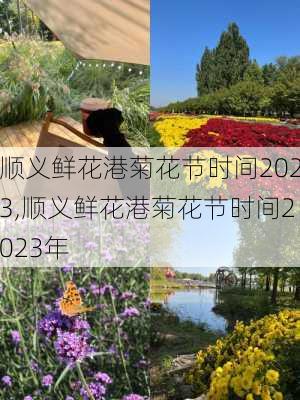 顺义鲜花港菊花节时间2023,顺义鲜花港菊花节时间2023年