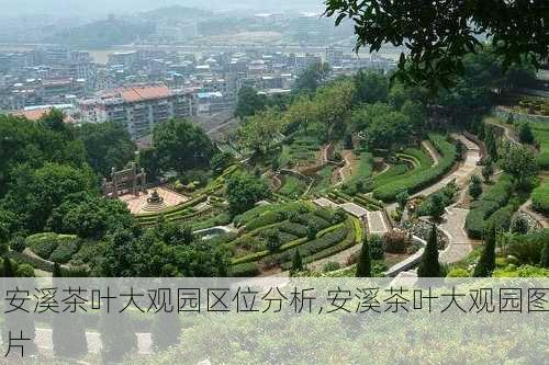 安溪茶叶大观园区位分析,安溪茶叶大观园图片