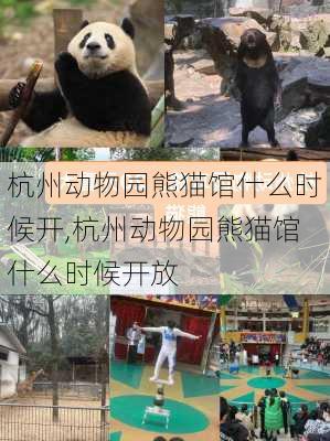 杭州动物园熊猫馆什么时候开,杭州动物园熊猫馆什么时候开放