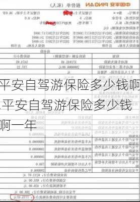 平安自驾游保险多少钱啊,平安自驾游保险多少钱啊一年