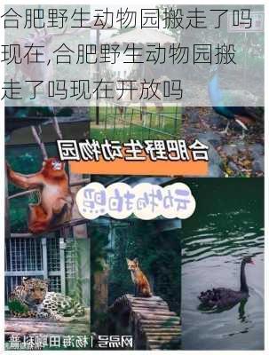 合肥野生动物园搬走了吗现在,合肥野生动物园搬走了吗现在开放吗