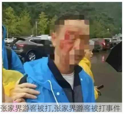 张家界游客被打,张家界游客被打事件