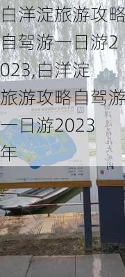 白洋淀旅游攻略自驾游一日游2023,白洋淀旅游攻略自驾游一日游2023年