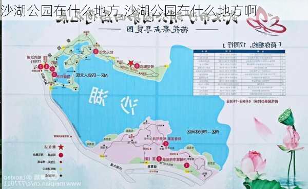 沙湖公园在什么地方,沙湖公园在什么地方啊