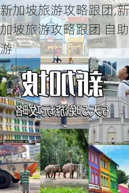 新加坡旅游攻略跟团,新加坡旅游攻略跟团 自助游