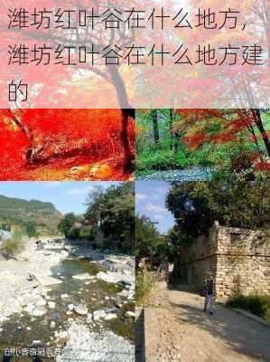 潍坊红叶谷在什么地方,潍坊红叶谷在什么地方建的