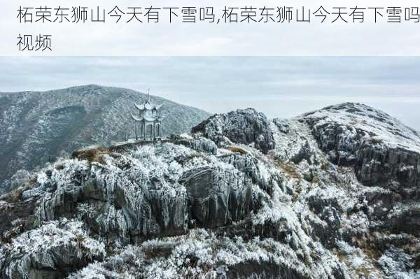 柘荣东狮山今天有下雪吗,柘荣东狮山今天有下雪吗视频