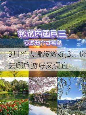 3月份去哪旅游好,3月份去哪旅游好又便宜