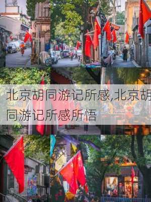 北京胡同游记所感,北京胡同游记所感所悟