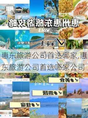 惠东旅游公司首选哪家,惠东旅游公司首选哪家公司