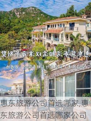 惠东旅游公司首选哪家,惠东旅游公司首选哪家公司