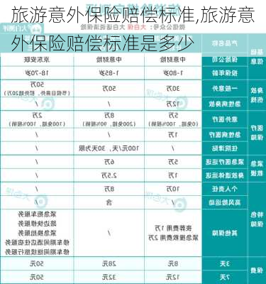 旅游意外保险赔偿标准,旅游意外保险赔偿标准是多少