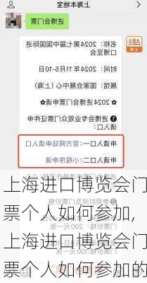 上海进口博览会门票个人如何参加,上海进口博览会门票个人如何参加的