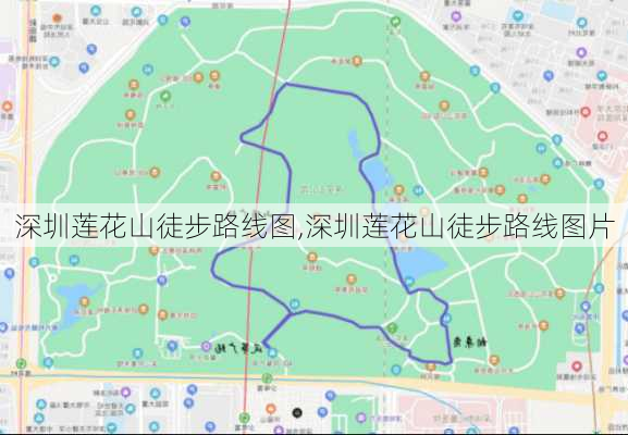 深圳莲花山徒步路线图,深圳莲花山徒步路线图片