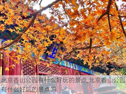 北京香山公园有什么好玩的景点,北京香山公园有什么好玩的景点吗