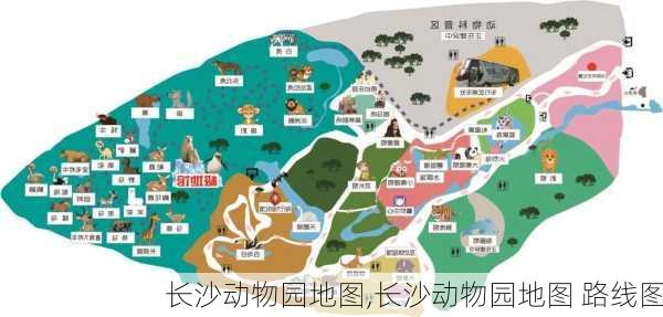 长沙动物园地图,长沙动物园地图 路线图