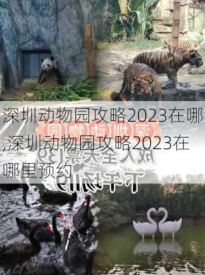 深圳动物园攻略2023在哪,深圳动物园攻略2023在哪里预约