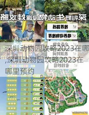 深圳动物园攻略2023在哪,深圳动物园攻略2023在哪里预约