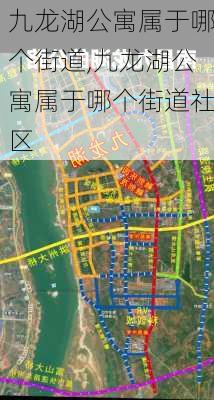 九龙湖公寓属于哪个街道,九龙湖公寓属于哪个街道社区