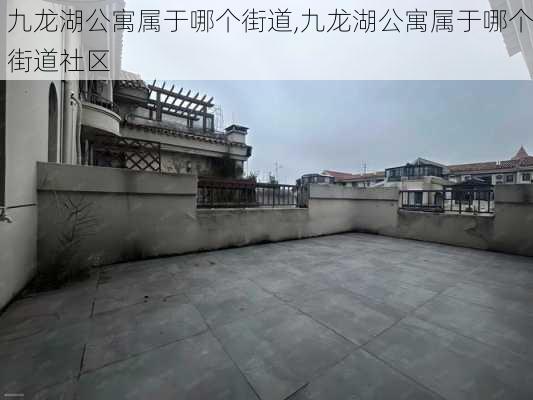 九龙湖公寓属于哪个街道,九龙湖公寓属于哪个街道社区