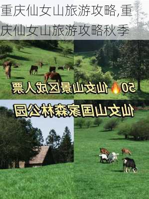 重庆仙女山旅游攻略,重庆仙女山旅游攻略秋季