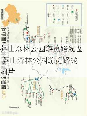 莽山森林公园游览路线图,莽山森林公园游览路线图片