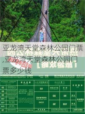 亚龙湾天堂森林公园门票,亚龙湾天堂森林公园门票多少钱