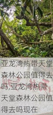 亚龙湾热带天堂森林公园值得去吗,亚龙湾热带天堂森林公园值得去吗现在