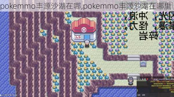 pokemmo丰源沙湖在哪,pokemmo丰源沙湖在哪里