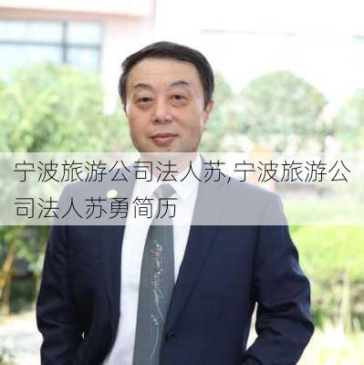 宁波旅游公司法人苏,宁波旅游公司法人苏勇简历