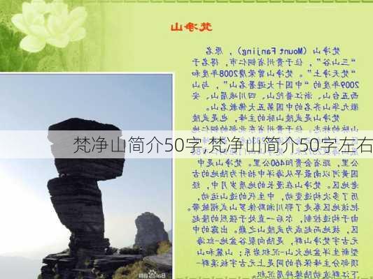 梵净山简介50字,梵净山简介50字左右