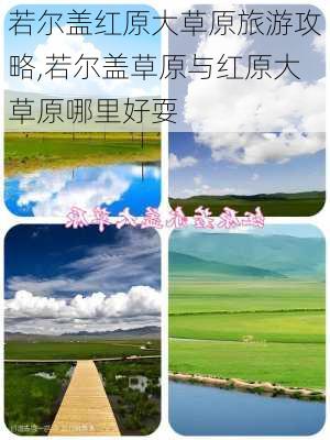 若尔盖红原大草原旅游攻略,若尔盖草原与红原大草原哪里好耍