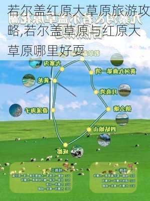 若尔盖红原大草原旅游攻略,若尔盖草原与红原大草原哪里好耍