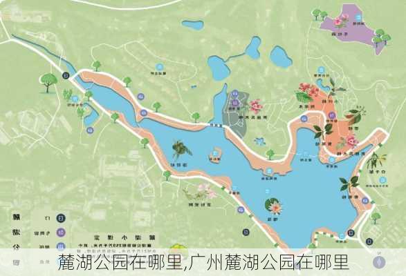 麓湖公园在哪里,广州麓湖公园在哪里