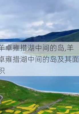 羊卓雍措湖中间的岛,羊卓雍措湖中间的岛及其面积