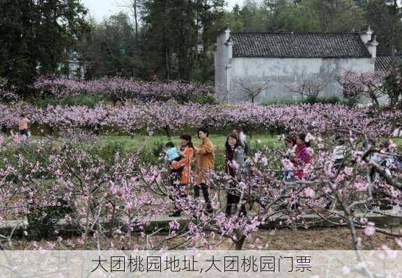 大团桃园地址,大团桃园门票