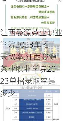 江西婺源茶业职业学院2023单招录取率,江西婺源茶业职业学院2023单招录取率是多少