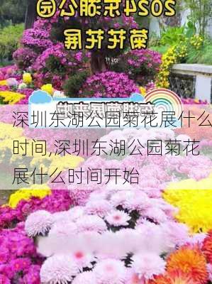 深圳东湖公园菊花展什么时间,深圳东湖公园菊花展什么时间开始