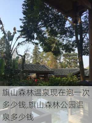 旗山森林温泉现在泡一次多少钱,旗山森林公园温泉多少钱