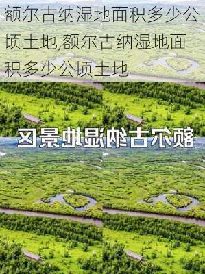 额尔古纳湿地面积多少公顷土地,额尔古纳湿地面积多少公顷土地