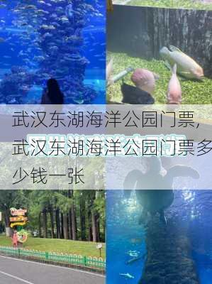 武汉东湖海洋公园门票,武汉东湖海洋公园门票多少钱一张