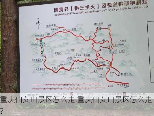 重庆仙女山景区怎么走,重庆仙女山景区怎么走?